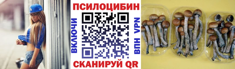 наркотики Нытва Псилоцибиновые грибы мухоморы